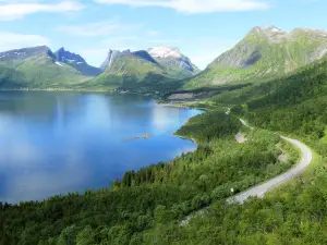 Bergsbotn