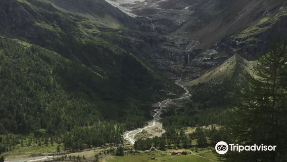 The Cavaglia Glacier Garden
