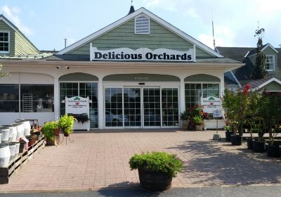 Delicious Orchards