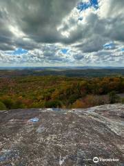 Bald Rock Heritage Preserve