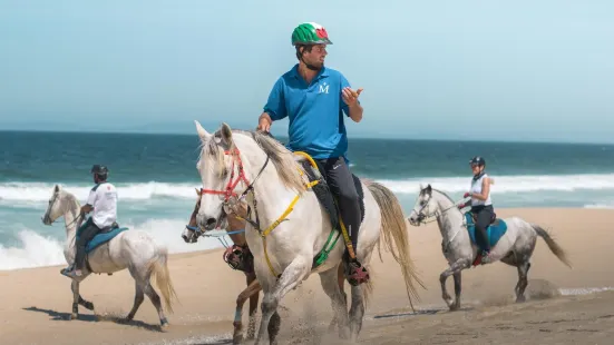 Horses by the Beach