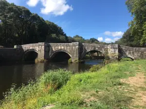 Ponte Romana de Brandomil