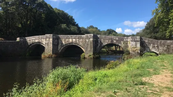 Ponte Romana de Brandomil