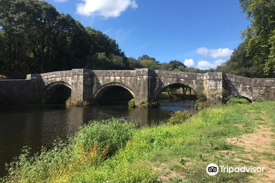 Ponte Romana de Brandomil