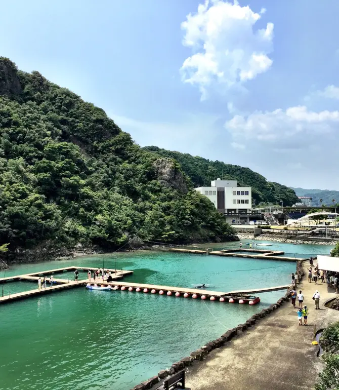 Taiji