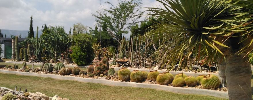 El Sueno Jardin Botanico