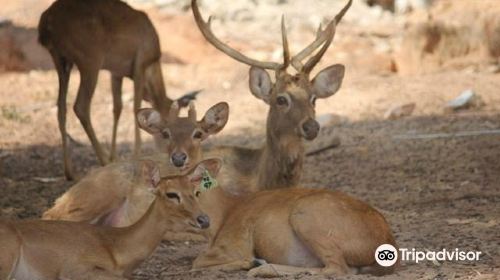 Huai Sai Wildlife Breeding Center