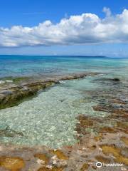 Nagamahama beach