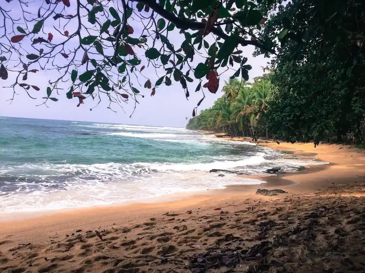 Các khách sạn ở Bosques Don Jose