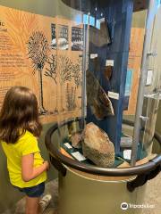 Cape Breton Fossil Centre/Sydney Mines Heritage Museum