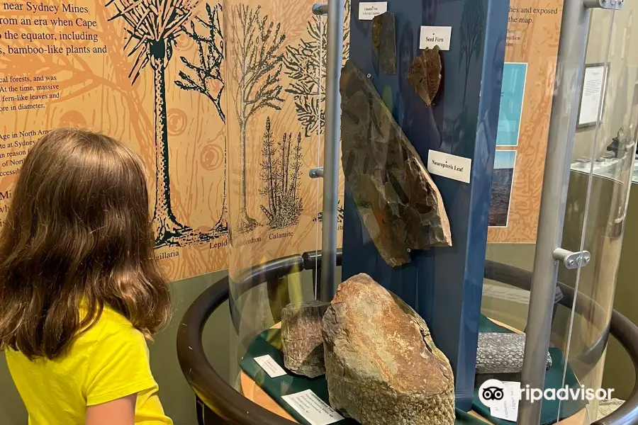 Cape Breton Fossil Centre/Sydney Mines Heritage Museum