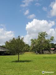 Frogmore Cotton Plantation & Gins