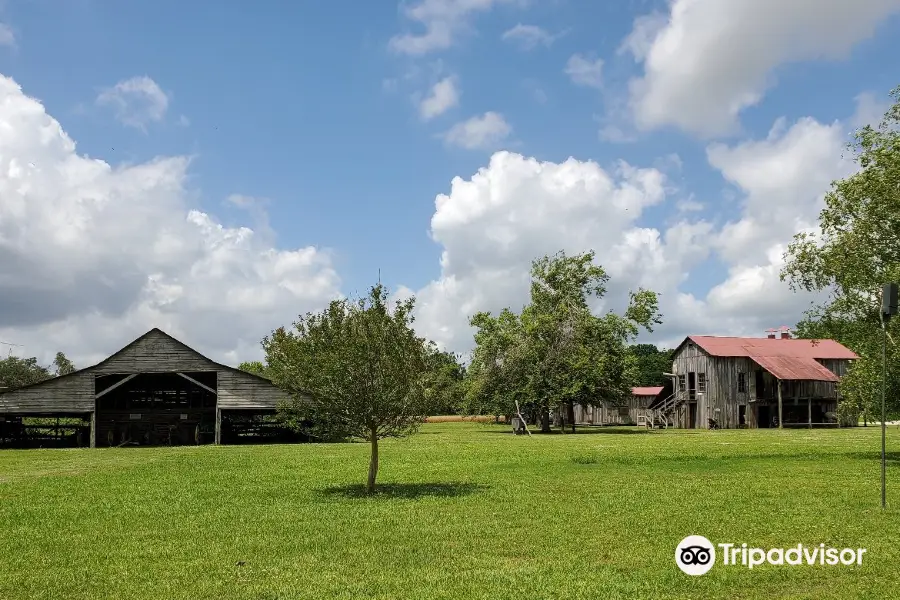 Frogmore Cotton Plantation & Gins