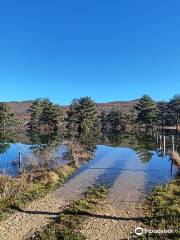 Lake Palcje