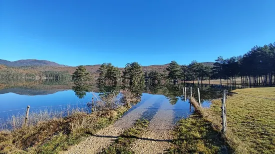 Lake Palcje