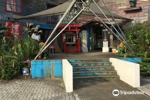 The Weird Museum for Boys and Girls