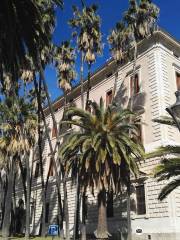 Museo del Vino Malaga