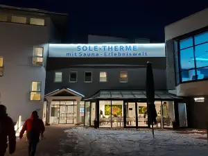 Bad Harzburger Sole-Therme (Thermal Baths)