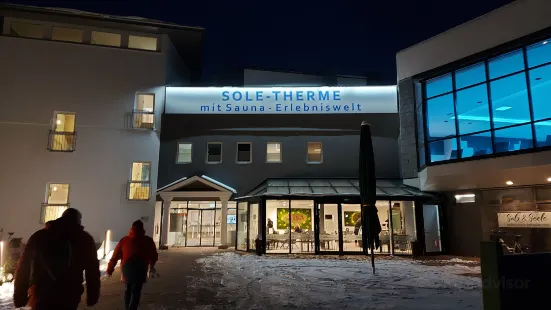 Bad Harzburger Sole-Therme (Thermal Baths)