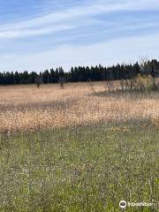 Hazel Bird Nature Reserve