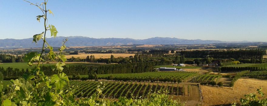 Martinborough Wine Village