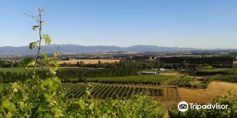 馬丁堡葡萄酒村