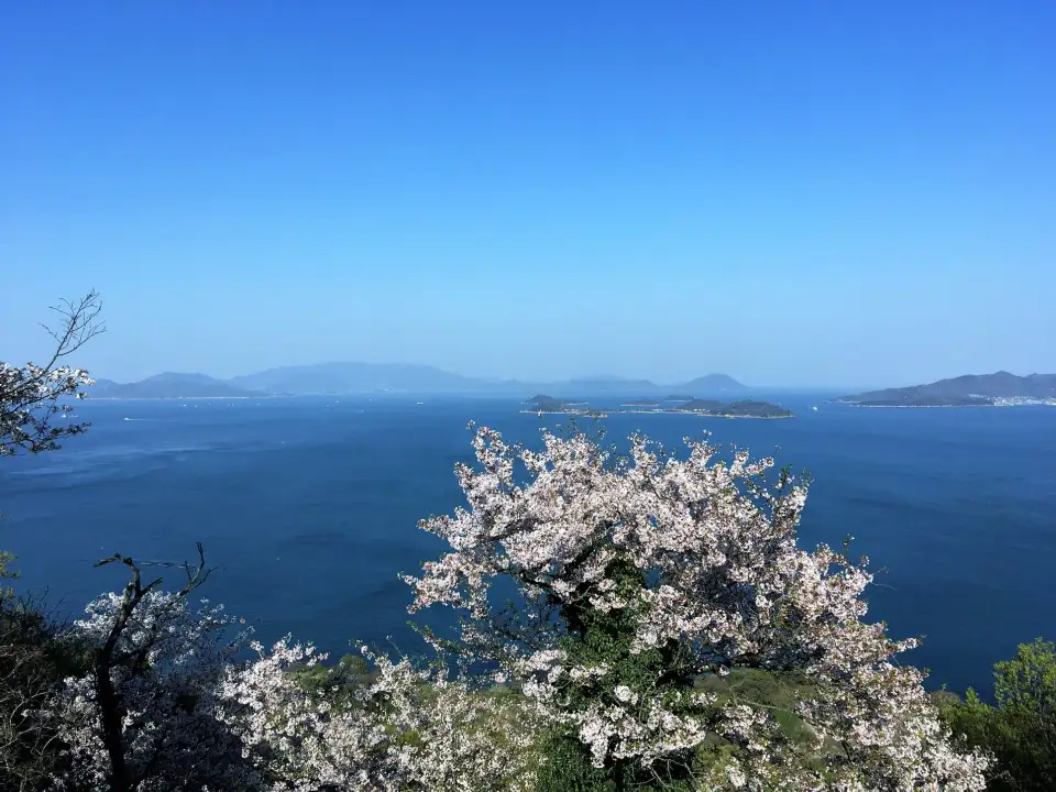 메기지마 섬