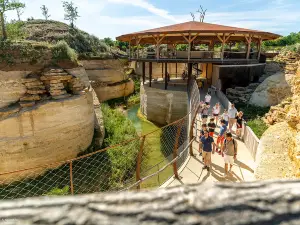 Bioparc de Doué-la-Fontaine