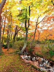 Momiji Garden