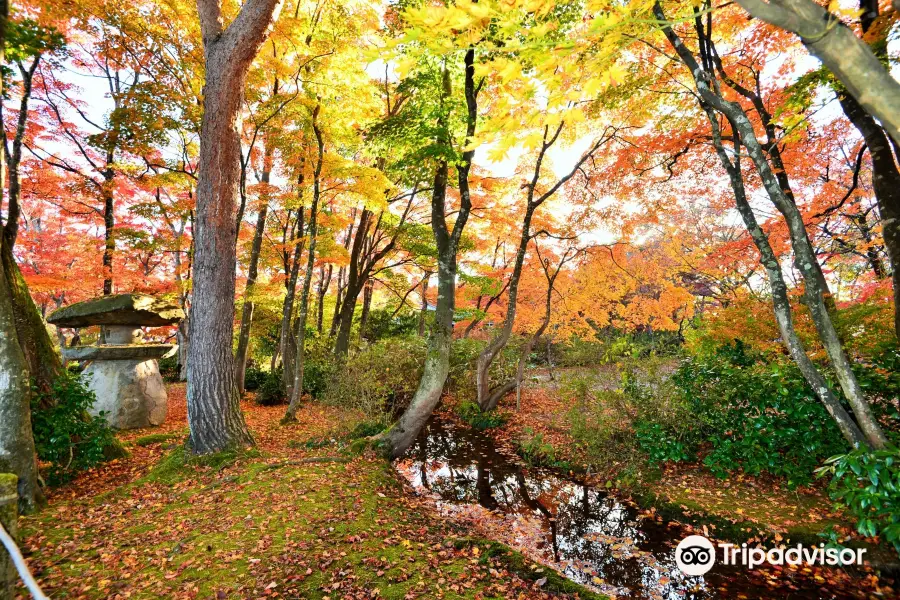 Momiji Garden