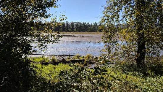 Steigerwald Lake National Wildlife Refuge