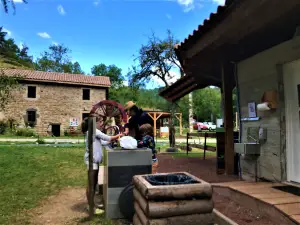 Les Truites d'Andaure