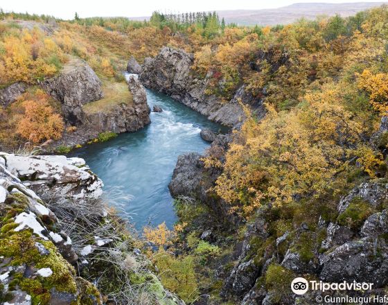 埃伊爾斯塔濟 自由行套票