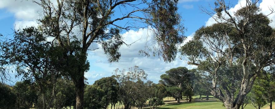 Mount Martha Public Golf Course