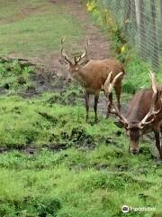 Shubenacadie Wildlife Park