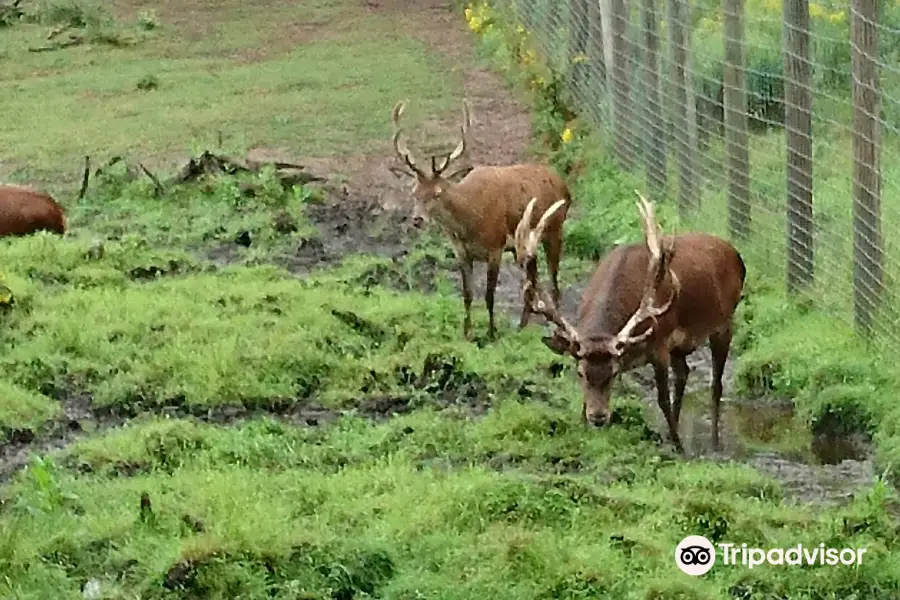 Shubenacadie Wildlife Park