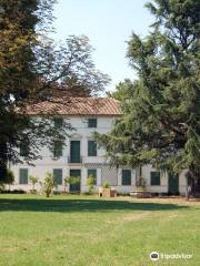 Villa Letizia, Wassermann di Giavera del Montello