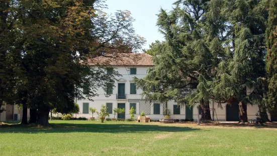 Villa Letizia, Wassermann di Giavera del Montello