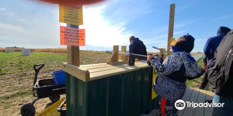 Polly's Pumpkin Patch