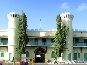Cellular Jail