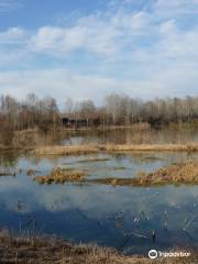 Oasi Naturalistica la Madonnina