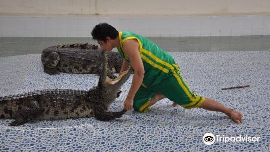 Baan chivit crocodile show