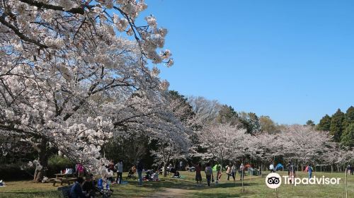 Izumi Nature Park