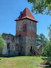 Castle in Chudowa