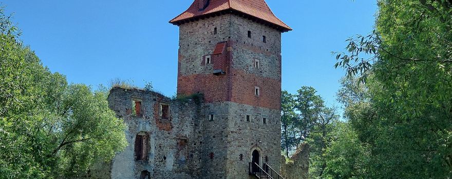 Chudow Castle