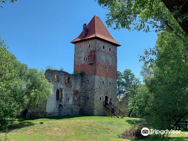 Chudow Castle