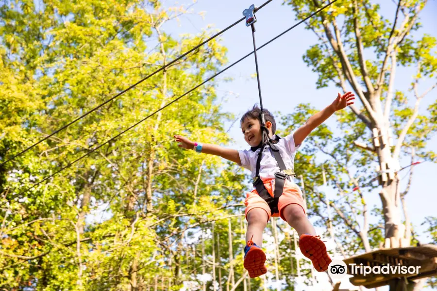 Go Ape Zipline and Adventure Park