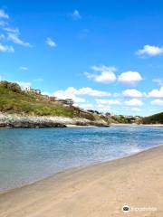 Crantock Beach