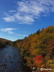 Oswegatchie River