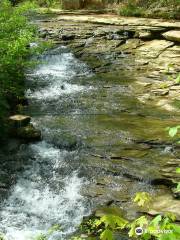 Saunders Springs Nature Preserve